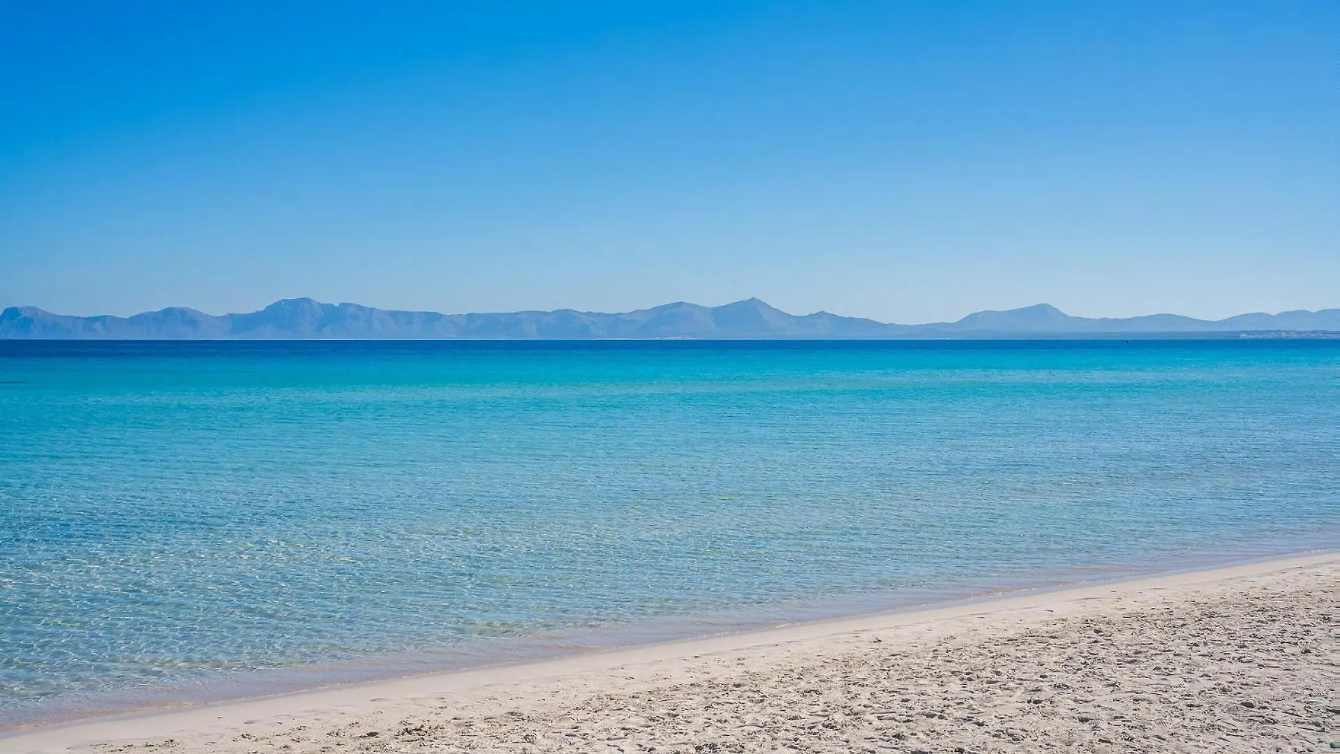 Ideal Property Mallorca - Navarro Pollensa