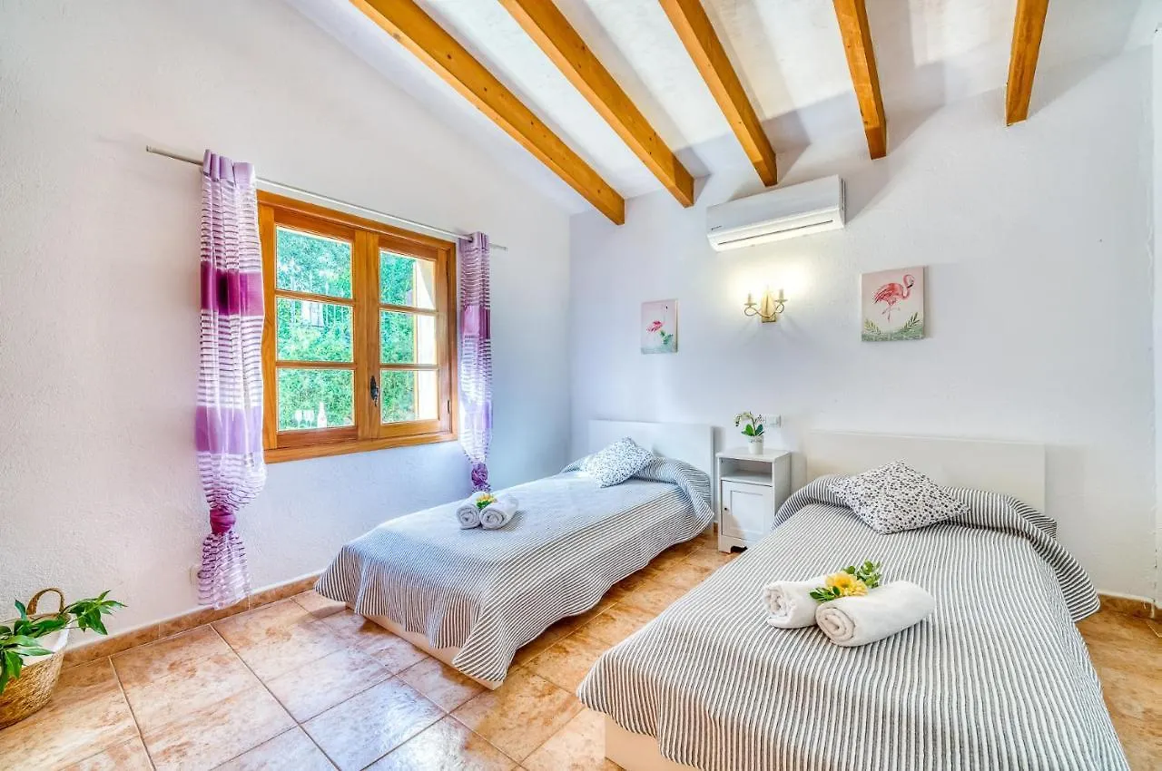 Ideal Property Mallorca - Navarro Pollenca