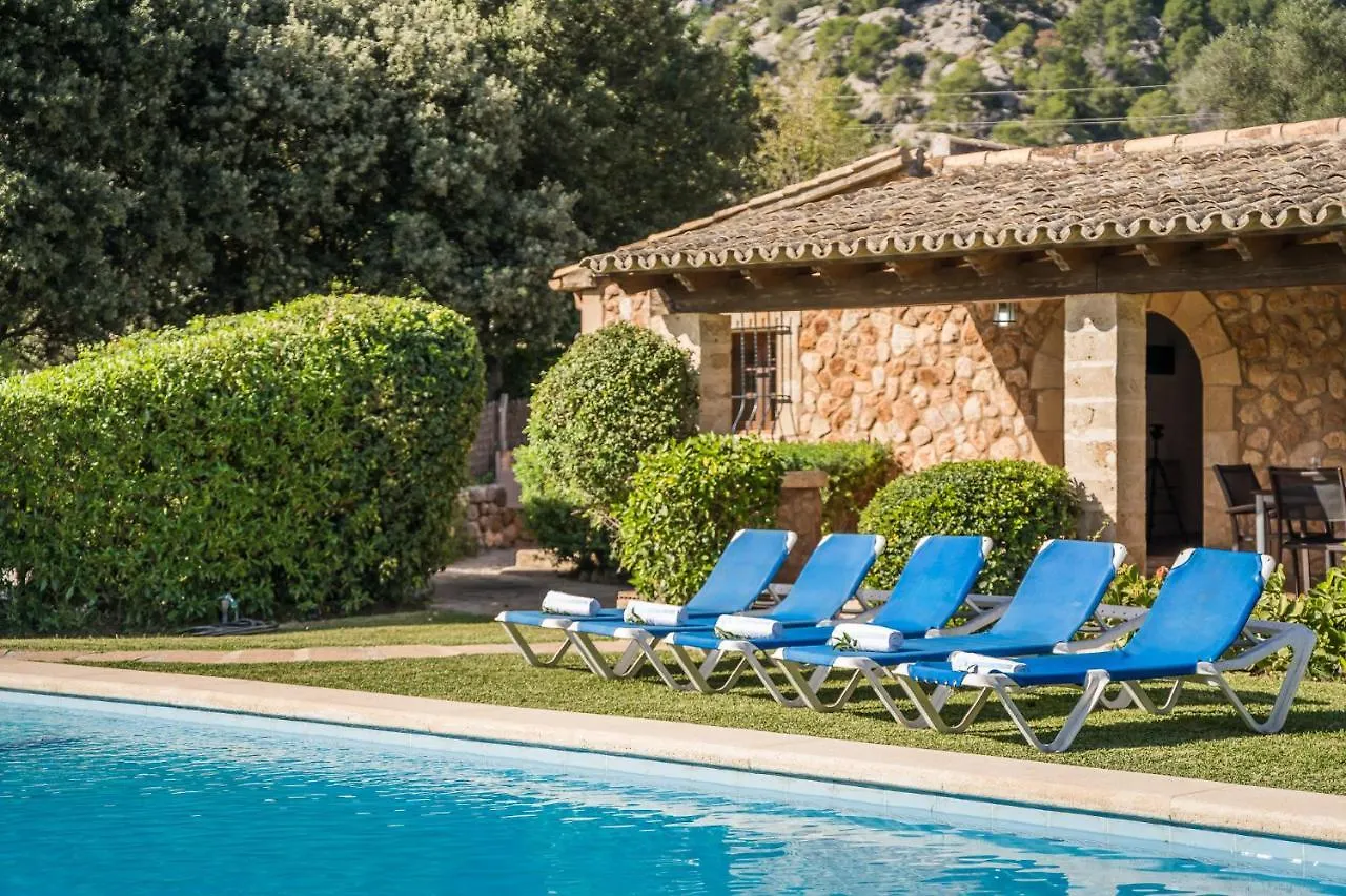 Ideal Property Mallorca - Navarro Pollenca