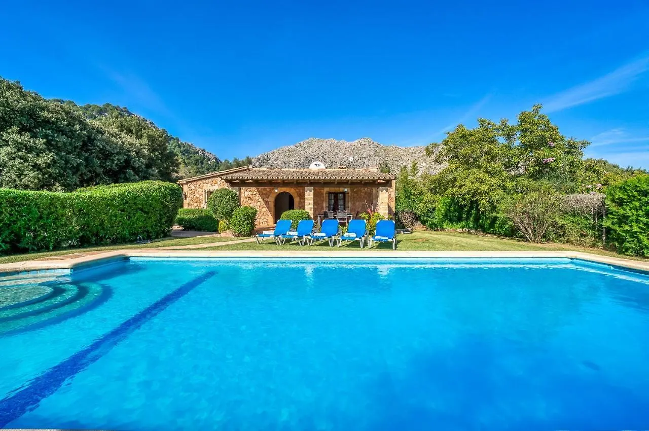 Ideal Property Mallorca - Navarro Pollenca Spain