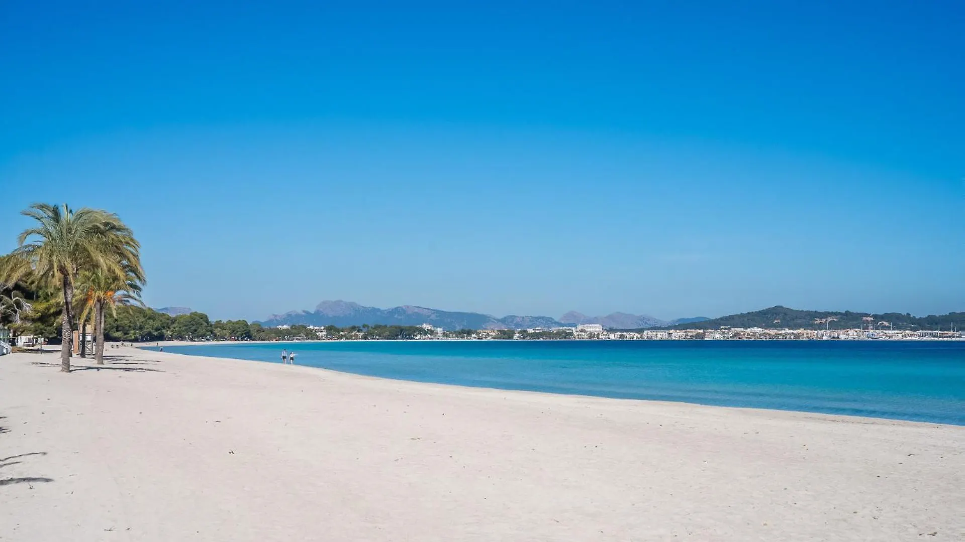 Ideal Property Mallorca - Navarro Pollenca Spain